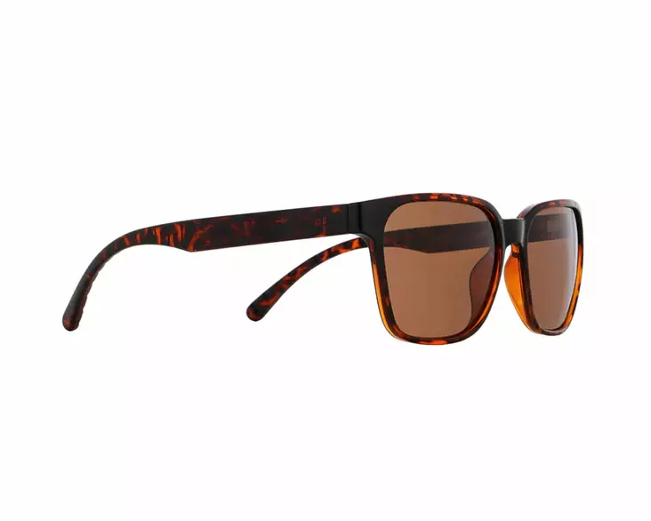 Spect Red Bull Eliot Sunglasses Shiny Havana w Brown lens - MP Aurinkolasit - 80020 - 1