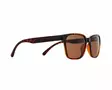 Spect Red Bull Eliot Sunglasses Shiny Havana w Brown lens - MP Aurinkolasit - 80020 - 1