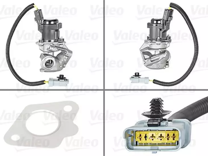 EGR-VENTTIILI FORD FOCUS - Yleisosat ja tarvikkeet - 22821 - 1