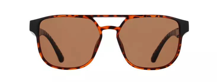 Spect Red Bull Elroy Sunglasses Shiny Havana w Brown lens - MP Aurinkolasit - 79691 - 1