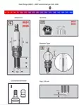 Champion Sytytystulppa 8698 Powersport - Yleisosat - Sytytystulpat - 107231 - 1