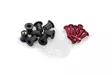 Puig Screw Kit whit silentblocks C/Red - Moottoripyörän Pultit & kiinnikkeet - 97721 - 1