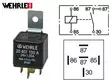 RELE WEHRLE 24V 20A 5-N. - Yleisosat ja tarvikkeet - 42931 - 1