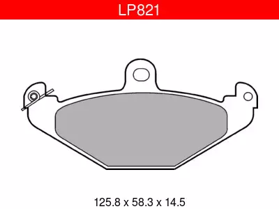 JARRUPALASARJA DELPHI TAKA, LOTUS, RENAULT - Yleisosat ja tarvikkeet - 7882 - 1