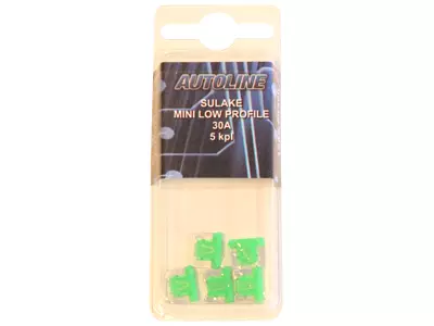 SULAKEBLISTER 30A MINI LOW PROFILE 5-KPL VIHREÄ - Yleisosat ja tarvikkeet - 52962 - 1