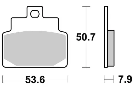 Sbs Jarrupalat Carbon Tech - Moottoripyörän Jarrupalat - 104702 - 1