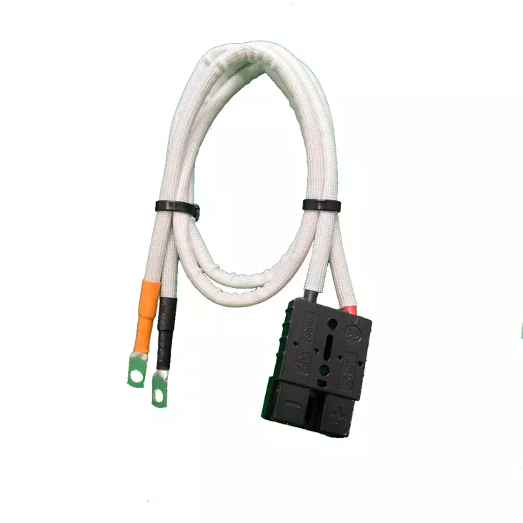 Elektra/Forte: Akun liitinjohto - Kruiser Elektra / Forte - 166113 - 1