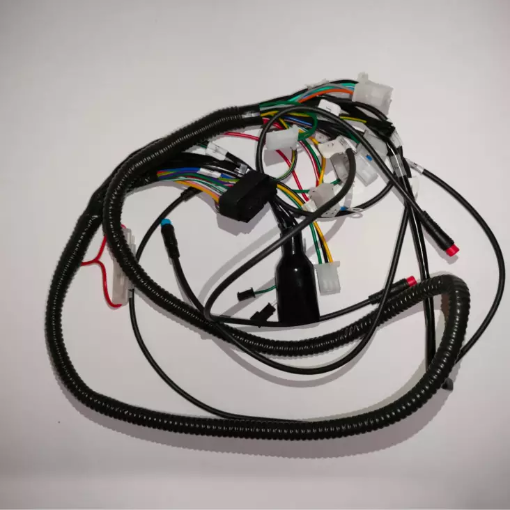 Kruiser Forte: Pääjohtosarja - Kruiser Elektra / Forte - 166004 - 1