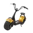 Kruiser Gold 0,9kWh akulla - Kruiserit - 166534 - 1