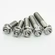 Scar 4 x Titanium hex head flange bolt M8 x 25 - titanium Gr5-Ti - Moottoripyörän Pultit & kiinnikkeet - 90554 - 1