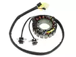 Sno-X Staattori Polaris 600/800 2011-12 - Moottorikelkan Staattorit - 80564 - 1