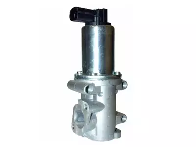 EGR-VENTTIILI # FIAT/OPEL - Yleisosat ja tarvikkeet - 12455 - 1