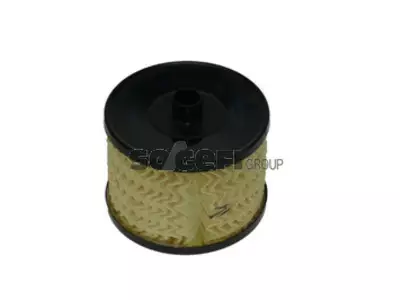 POLTTOAINESUODATIN CPF, FORD, PSA - Yleisosat ja tarvikkeet - 62955 - 1