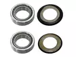 Sixty5 steering bear kit 30x51x15 2pcs - Moottoripyörän Runkolaakerit - 96555 - 1