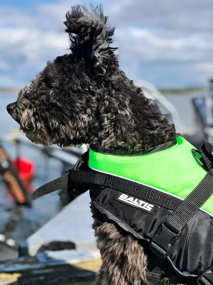 Baltic Mascot koiran kelluntaliivi vihreä/musta M 8-15kg - Kelluntaliivit - 114196 - 1