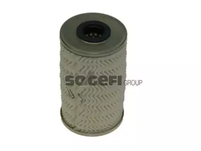 POLTTOAINESUODATIN CPF, RENAULT - Yleisosat ja tarvikkeet - 63176 - 1