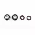 Athena (SKF) Runkolaakeirt & Öljytiivisteet, Derbi Senda -05/06- / Aprilia RX/RS - Mopon & Skootterin Moottorin laakerisarjat - 98947 - 1