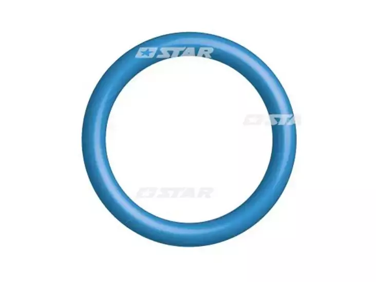 O-RENGAS FORD 2.0 TDCI SIEMENS - Yleisosat ja tarvikkeet - 42328 - 1