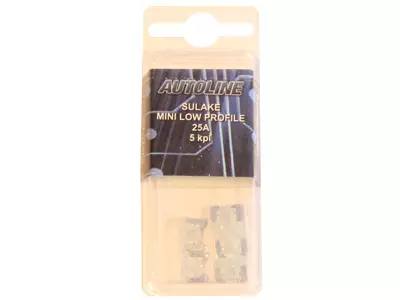 SULAKEBLISTER 25A MINI LOW PROFILE 5-KPL KIRKAS - Yleisosat ja tarvikkeet - 53618 - 1