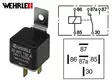 RELE WEHRLE 24V 10/20A 5-N. 87A, PITIMELLÄ * - Yleisosat ja tarvikkeet - 42878 - 1
