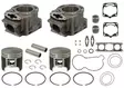 Sno-X Sylinterisarja Polaris 600 - Moottorikelkan Sylinterit - 96708 - 1