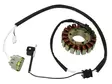 Sno-X Staattori Yamaha - Moottorikelkan Staattorit - 76269 - 1